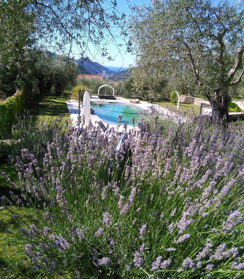 La Cicala Stonata Bed & Breakfast Dolceacqua Exterior foto