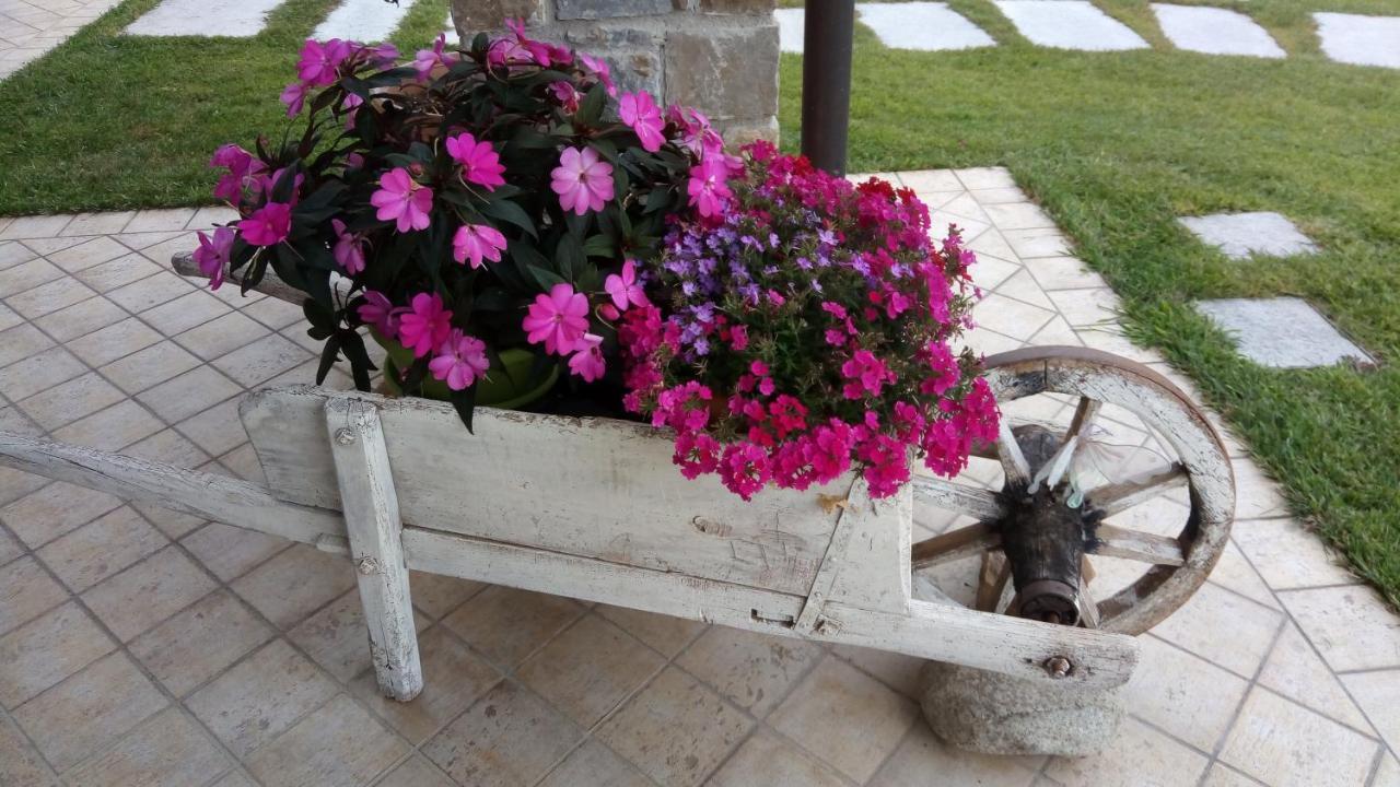 La Cicala Stonata Bed & Breakfast Dolceacqua Exterior foto